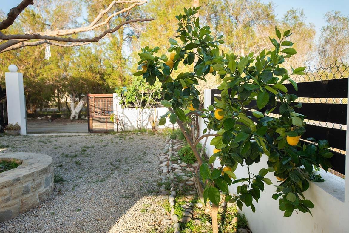 Afrathias Beachhouse - Cretan Hideaway Kalamaki  Eksteriør billede